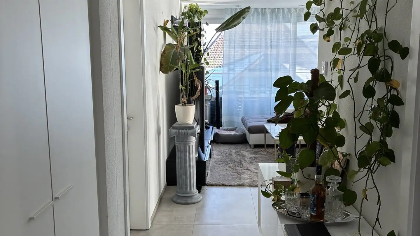 Wohnung mieten - Landhausweg 9, 5712 Beinwil am See