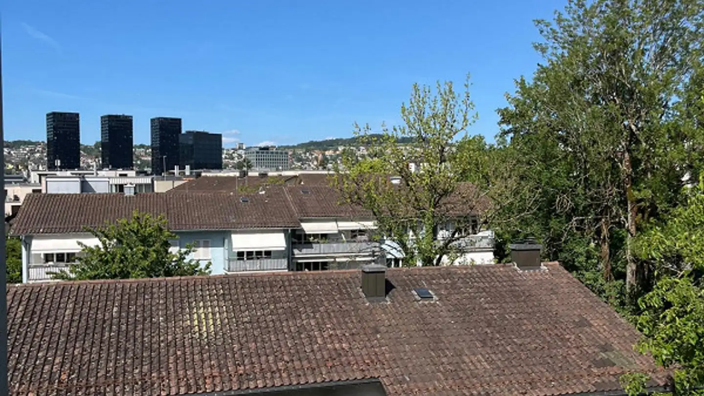 Penthouse for rent - Girhaldenstrasse 17, 8048 Zürich - Photo 4