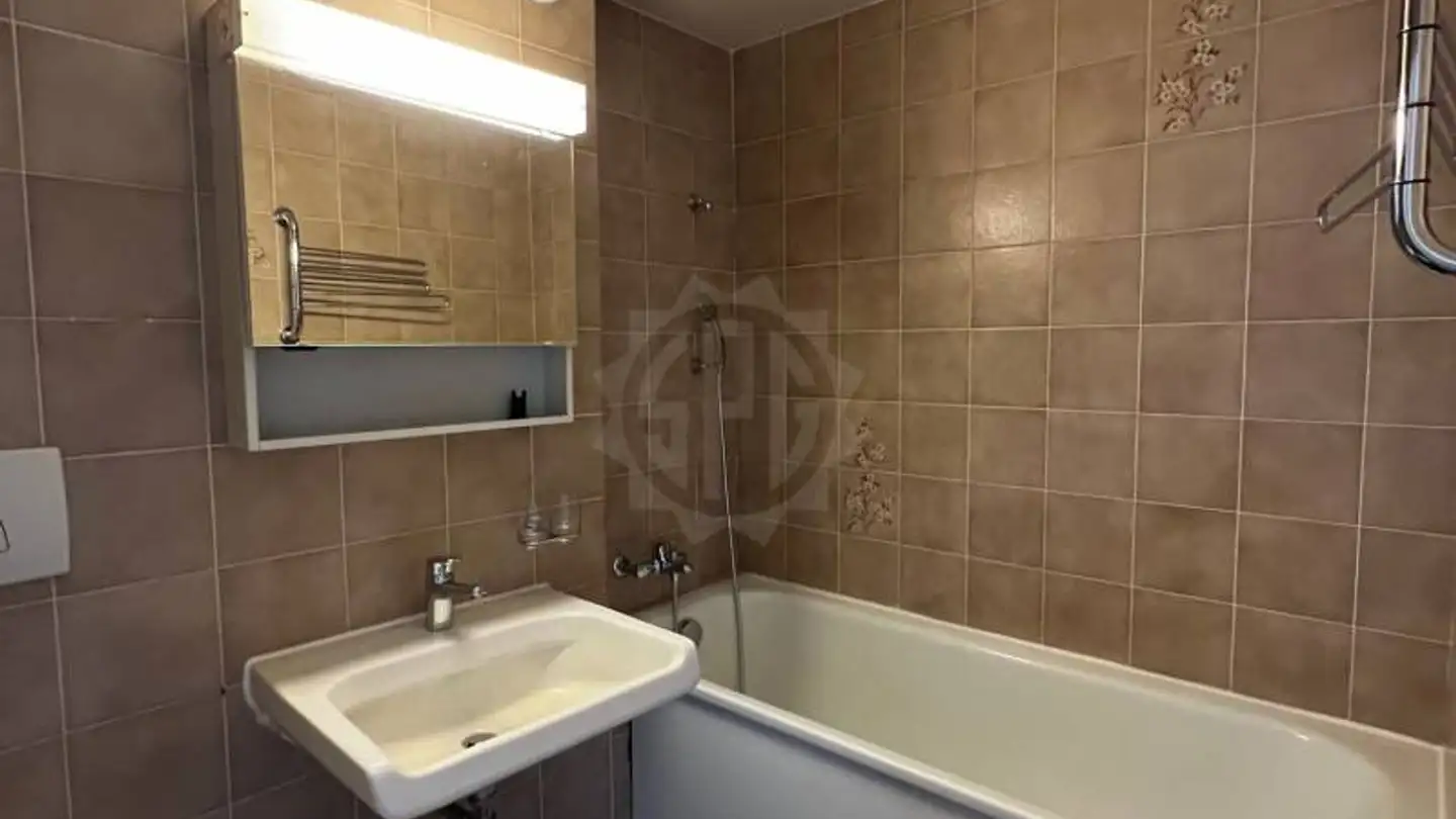 Apartment for rent - Rue Du Léopard 1, 1227 Carouge GE - Photo 4