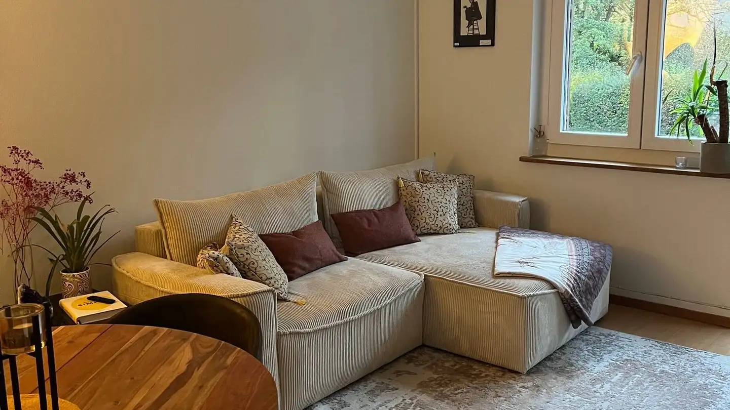 Wohnung mieten - Triemlistrasse 117, 8047 Zürich