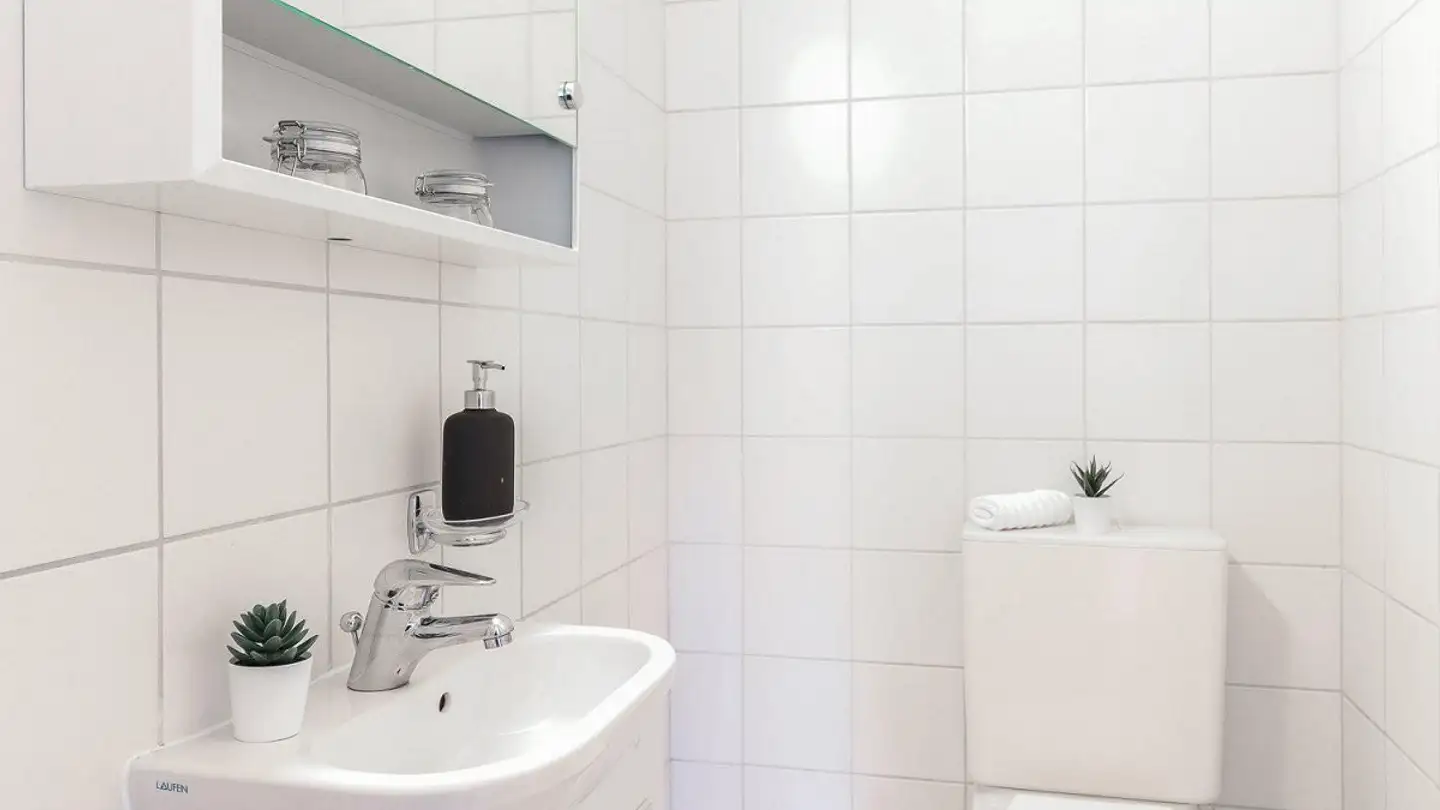 Appartamento in affitto - Engelhardstrasse 109, 3280 Murten - Foto 3
