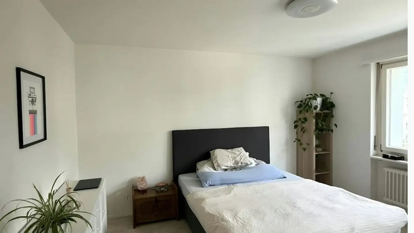 Wohnung mieten - 8406 Winterthur - Foto 4