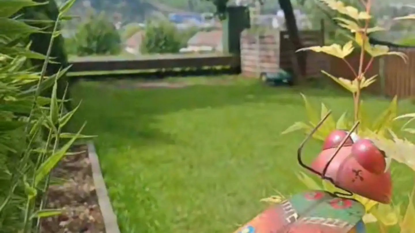 Appartamento in affitto - 4410 Liestal - Photo 2