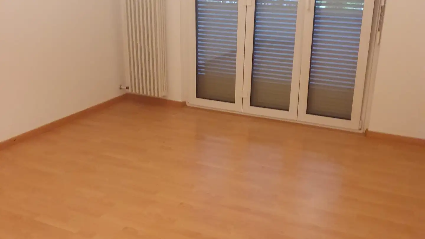 Apartment for rent - Via Giovanni Bassanesi 20, 6527 Lodrino - Photo 3
