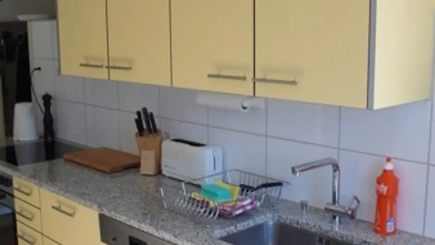 Apartment for rent - St. Galler-Ring 204, 4054 Basel - Photo 4
