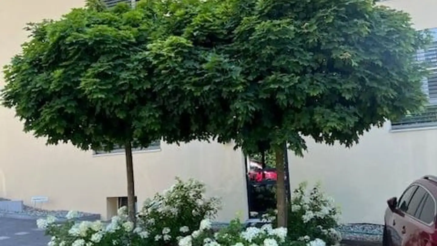 Appartamento in affitto - Schwärzere 19, 3425 Koppigen - Foto 2