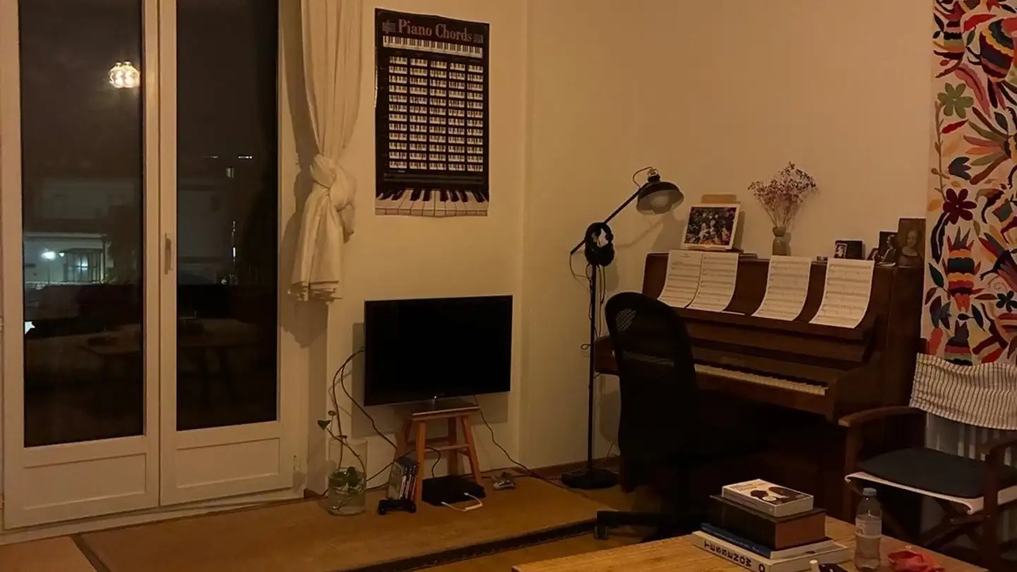 Stanza singola in affitto - 6900 Lugano - Foto 2