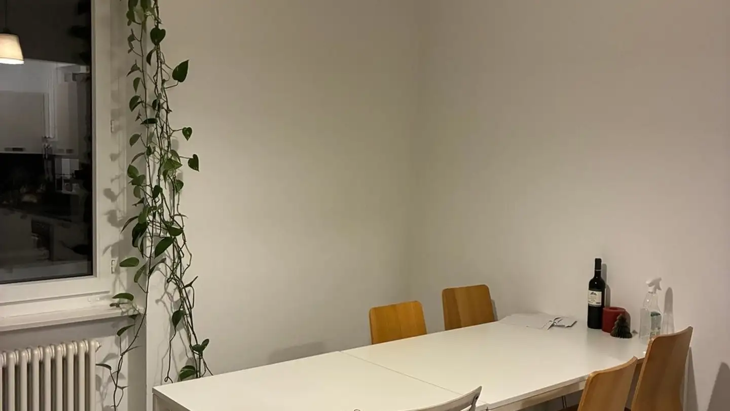 Stanza singola in affitto - 6900 Lugano - Foto 4