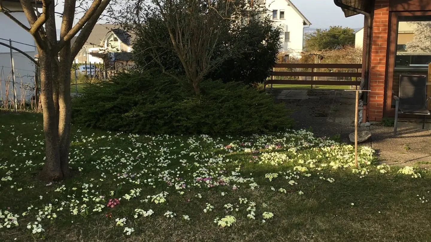 Einfamilienhaus mieten - Gumpisloch 6, 8597 Landschlacht - Foto 3