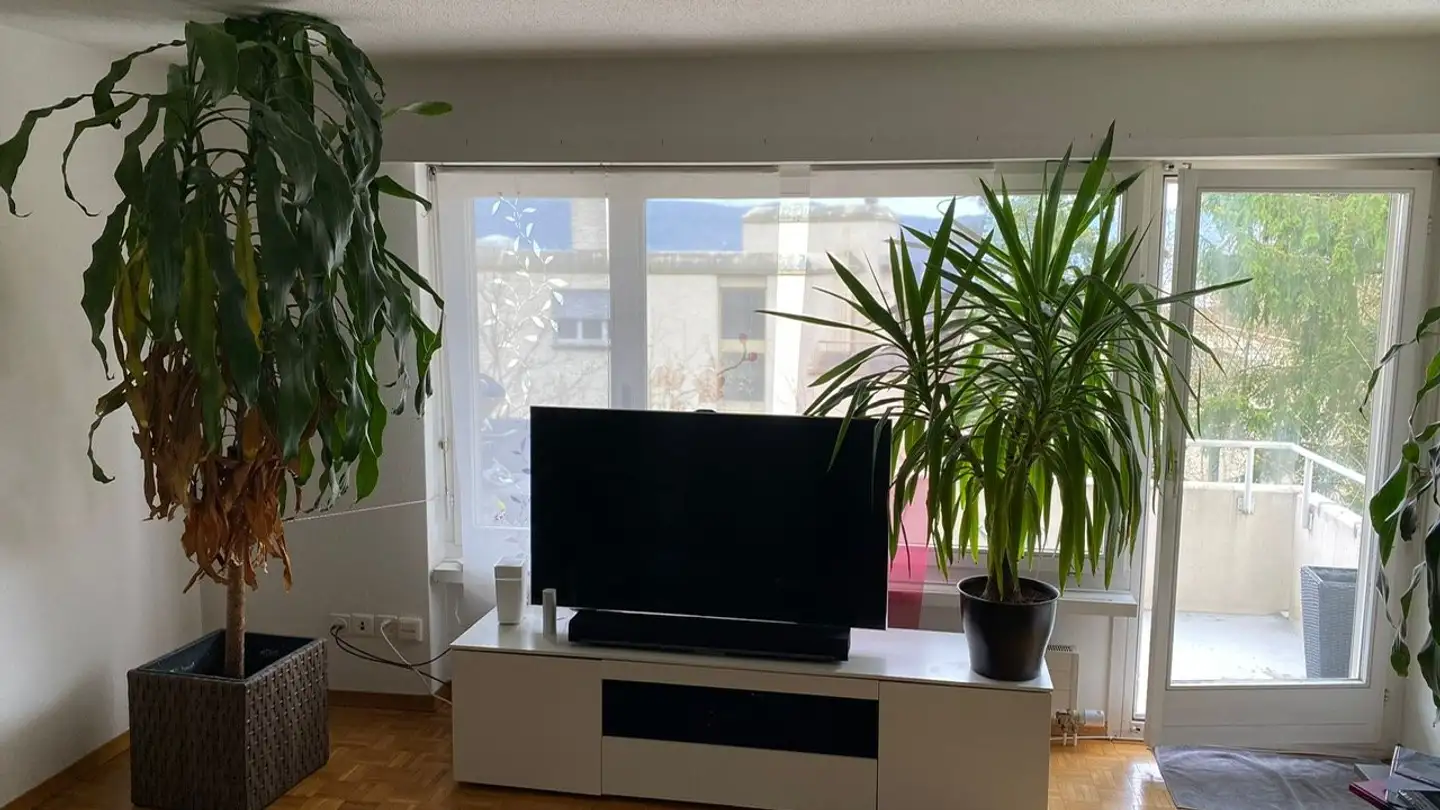 Apartment for rent - Bergellerstrasse 23, 8049 Zürich - Photo 3