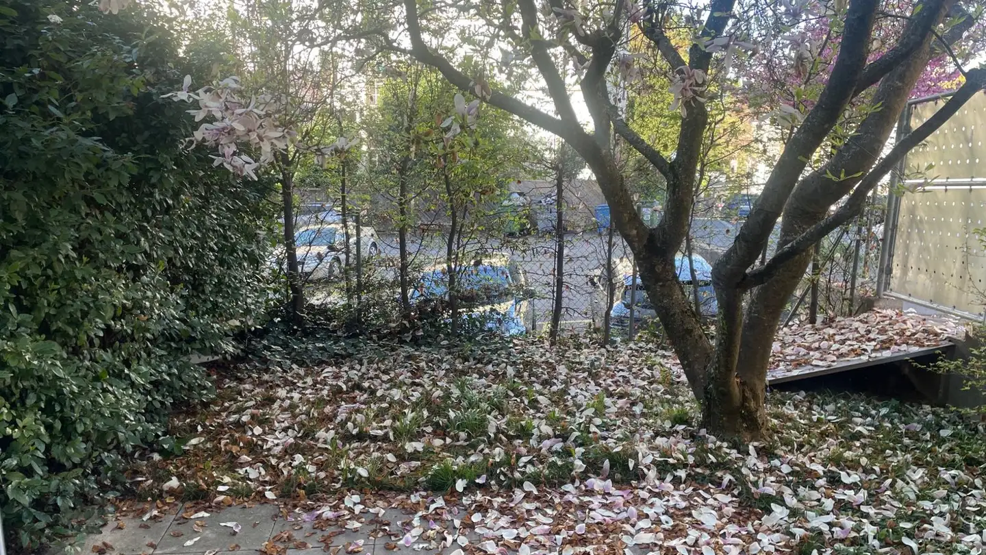 Appartamento in affitto - 1005 Lausanne