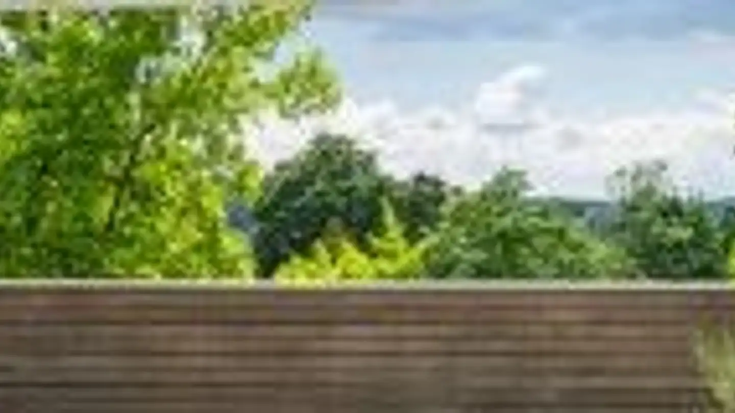 Casa singola in affitto - 8400 Winterthur - Foto 3