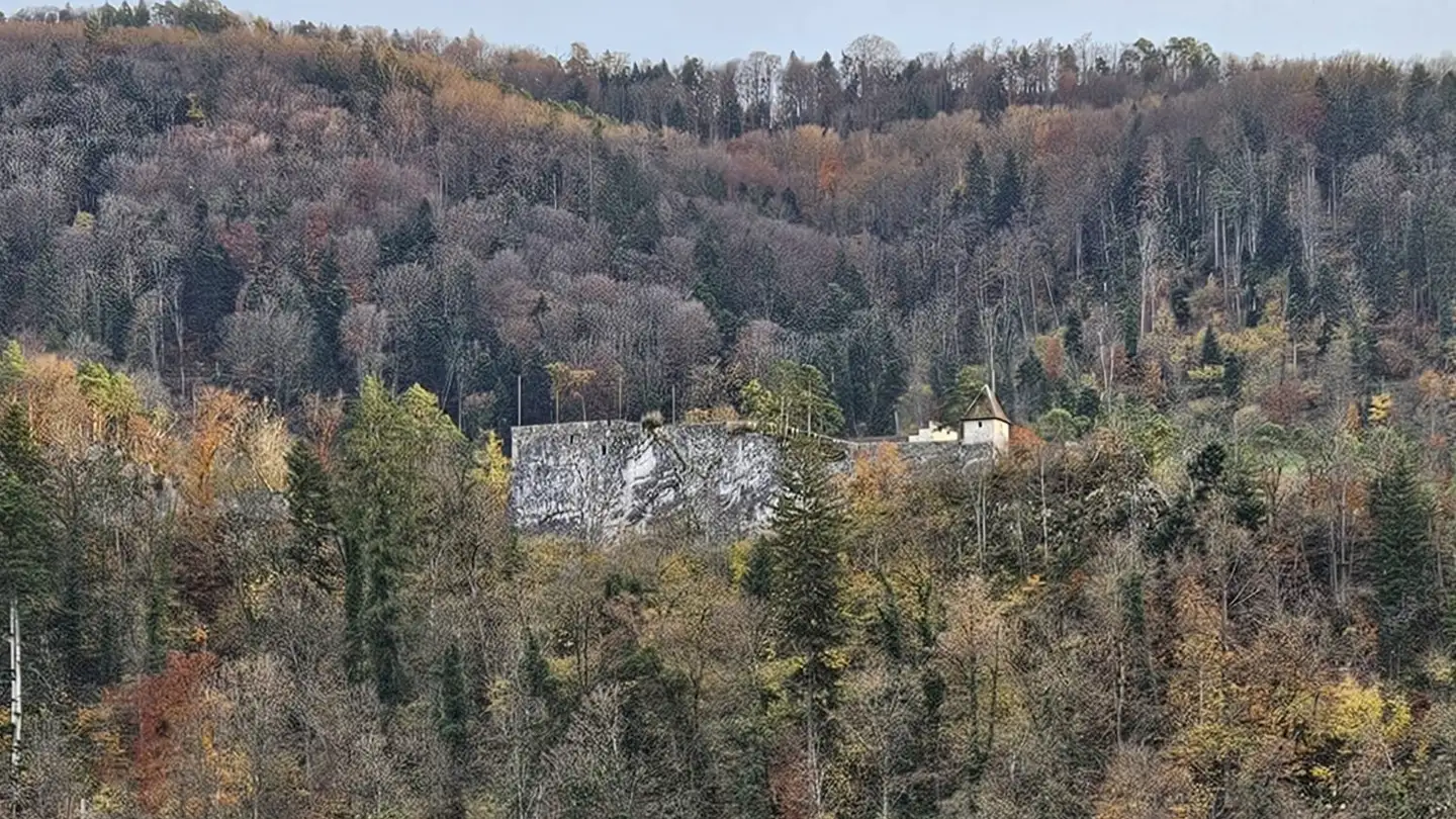 Casa singola in vendita - Rue des Tilleuls 38D, 2805 Soyhières - Photo 4