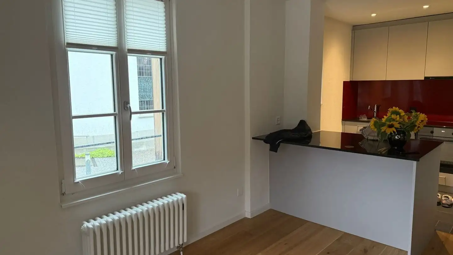 Apartment for rent - Greifenseestrasse 2, 8603 Schwerzenbach - Photo 4