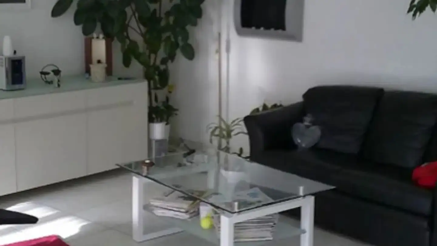 Appartamento in affitto - Rosengartenstrasse, 8107 Buchs ZH - Photo 2