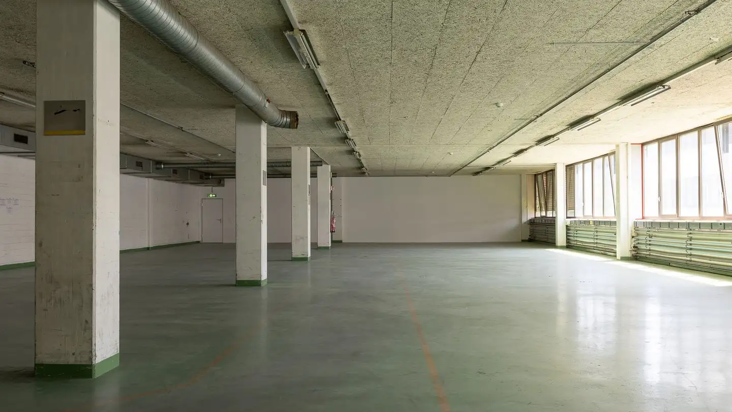 Industrial property for rent - Kägenstrasse 12, 4153 Reinach BL