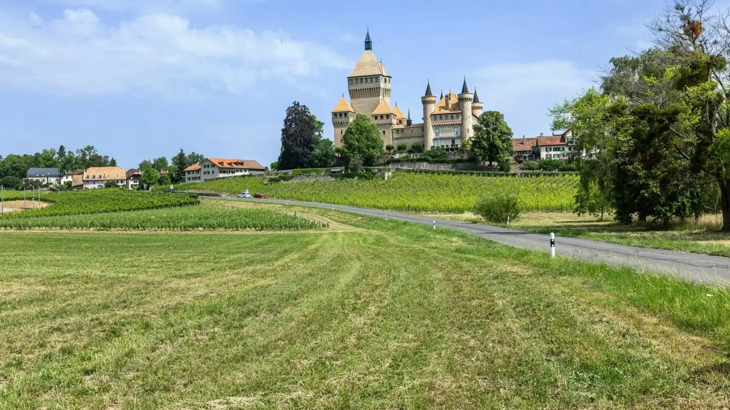 Single house for sale - 1134 Vufflens-le-Château - Photo 2