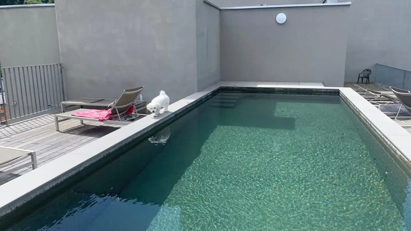 Appartamento in affitto - 6517 Arbedo - Foto 4