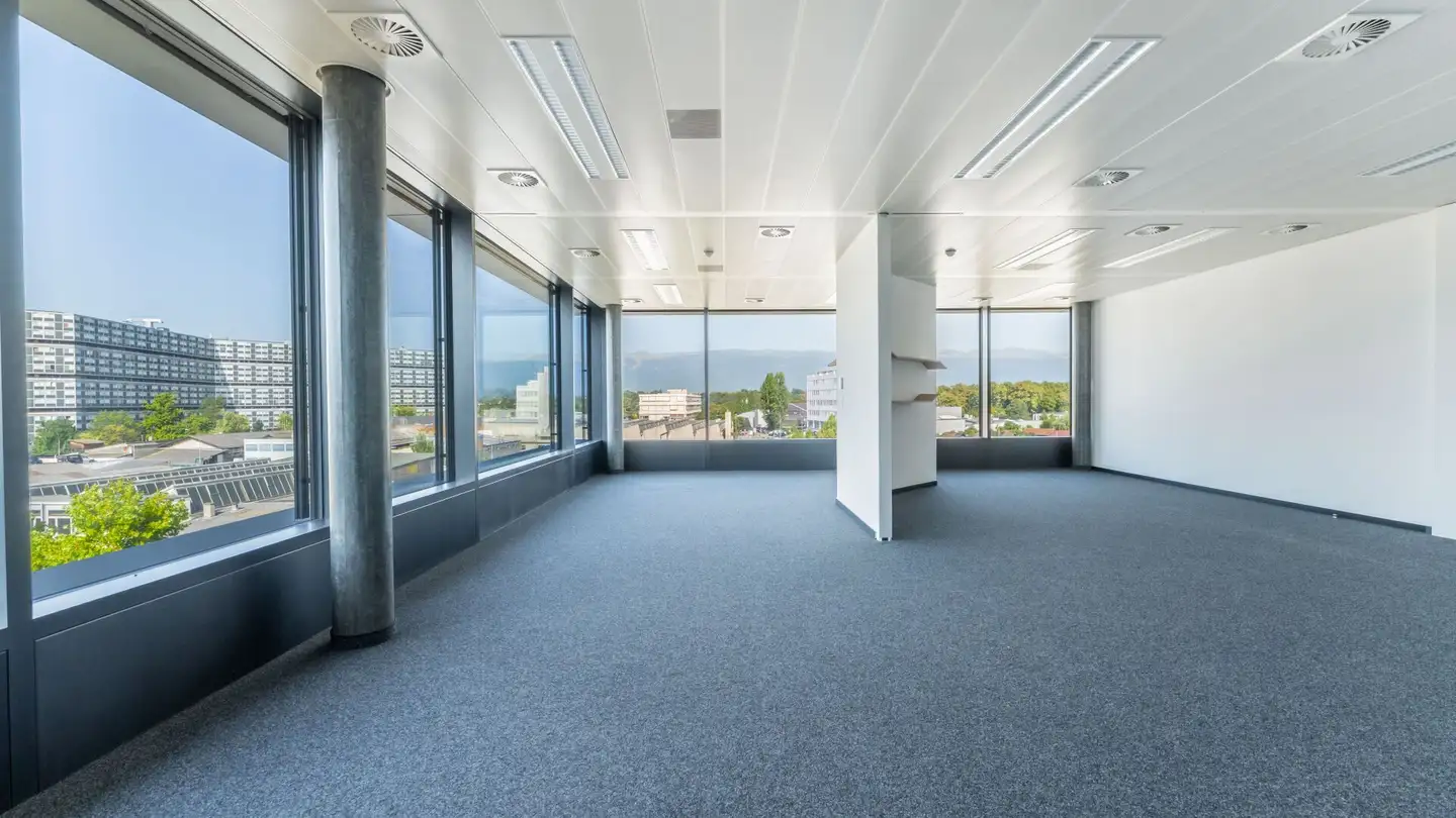 Spazio ufficio in affitto - Chemin Du Château-Bloch, 1219 Le Lignon - Foto 2