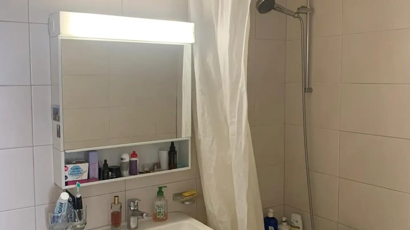 Appartamento in affitto - Route De Berne 14, 1010 Lausanne - Foto 4