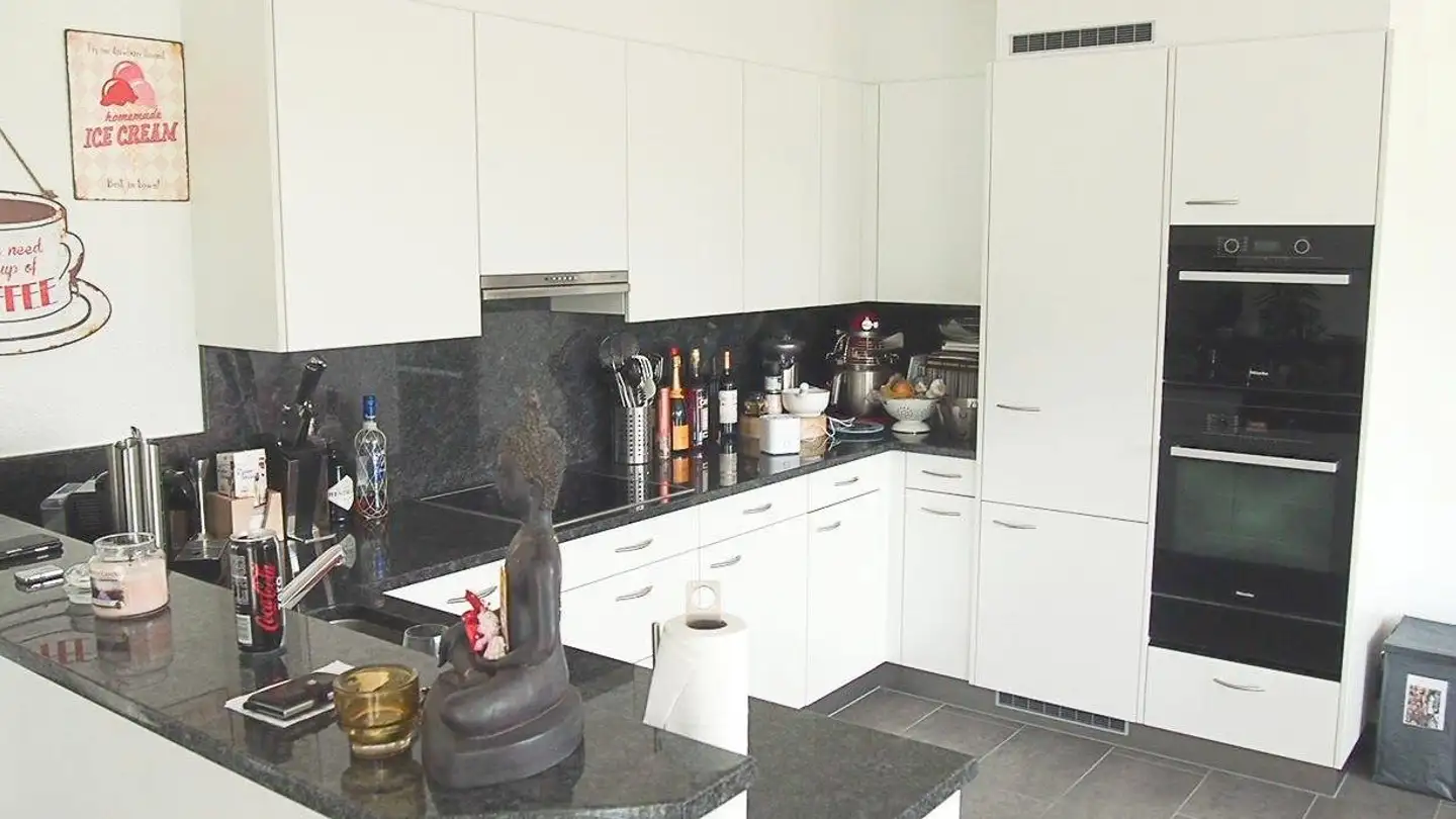 Attico in affitto - Hinterrietstrasse 25, 8317 Tagelswangen - Foto 3