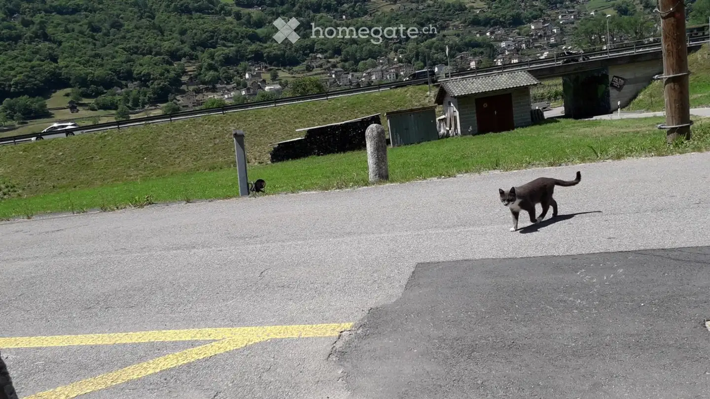 Appartement à louer - Via Brugaio 23, 6713 Malvaglia