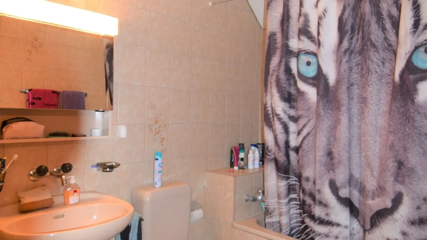 Attique à louer - Hofacherweg 4, 3423 Ersigen - Photo 3