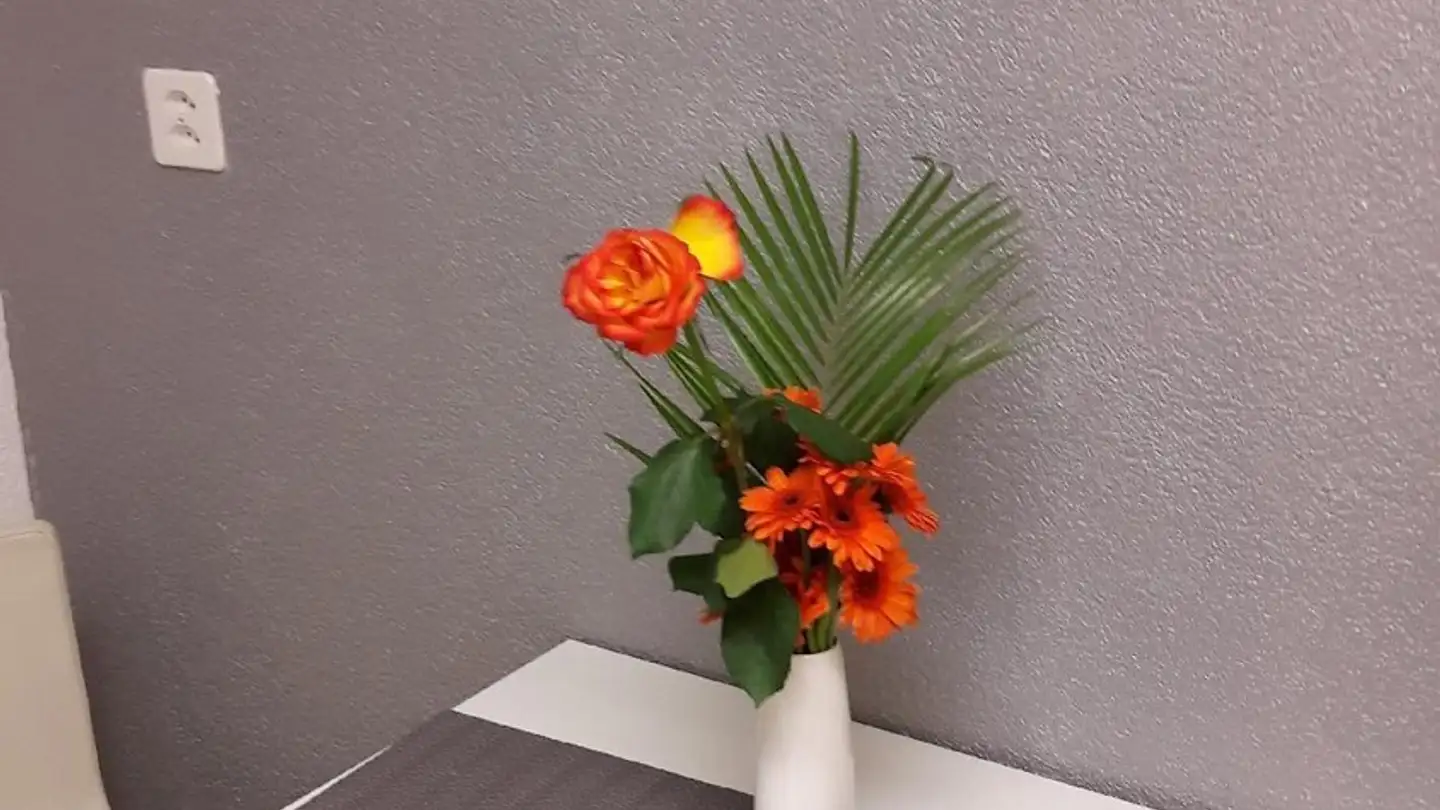 Chambre à louer - 3072 Ostermundigen