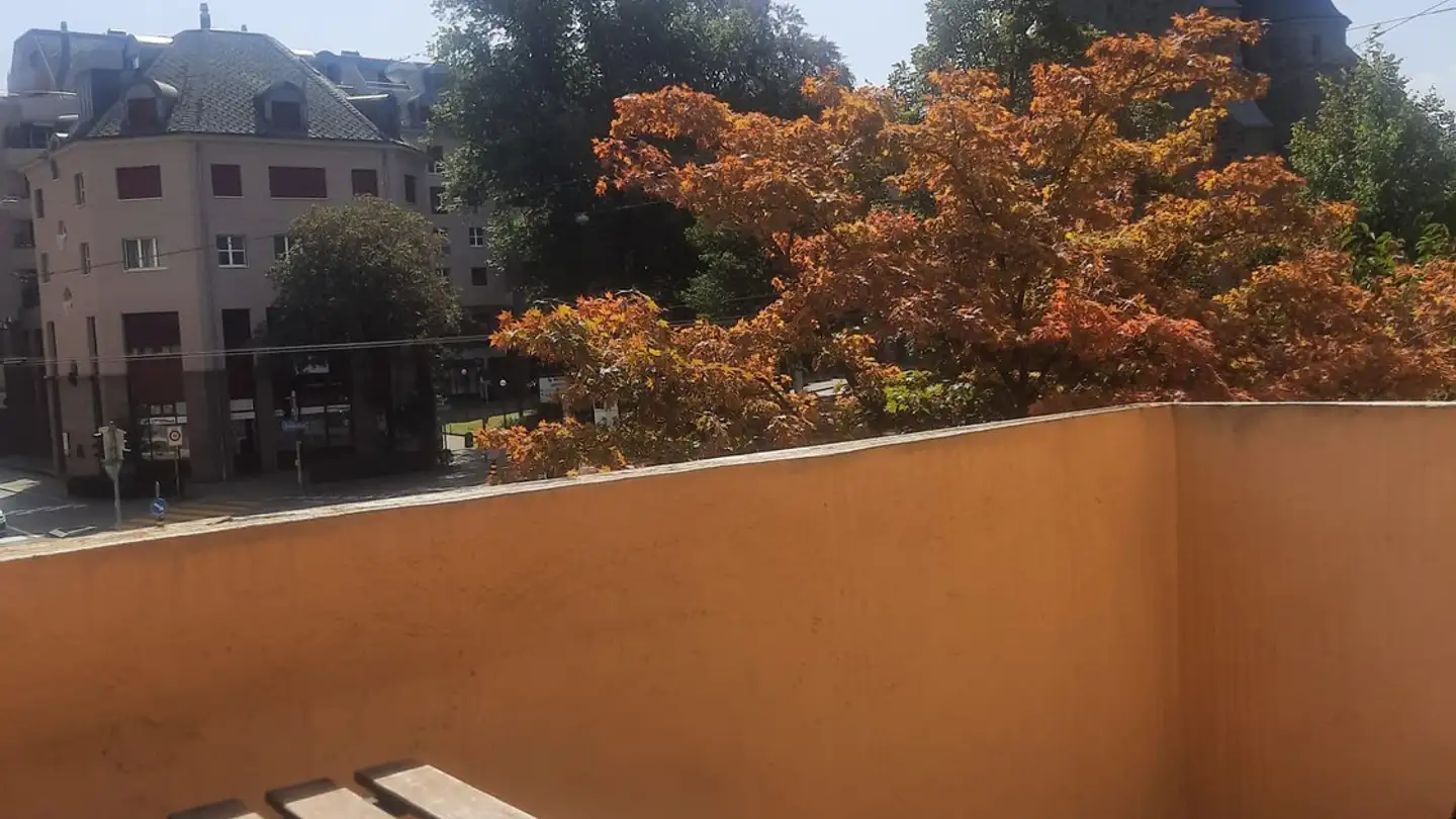 Stanza singola in affitto - 6005 Luzern - Foto 4