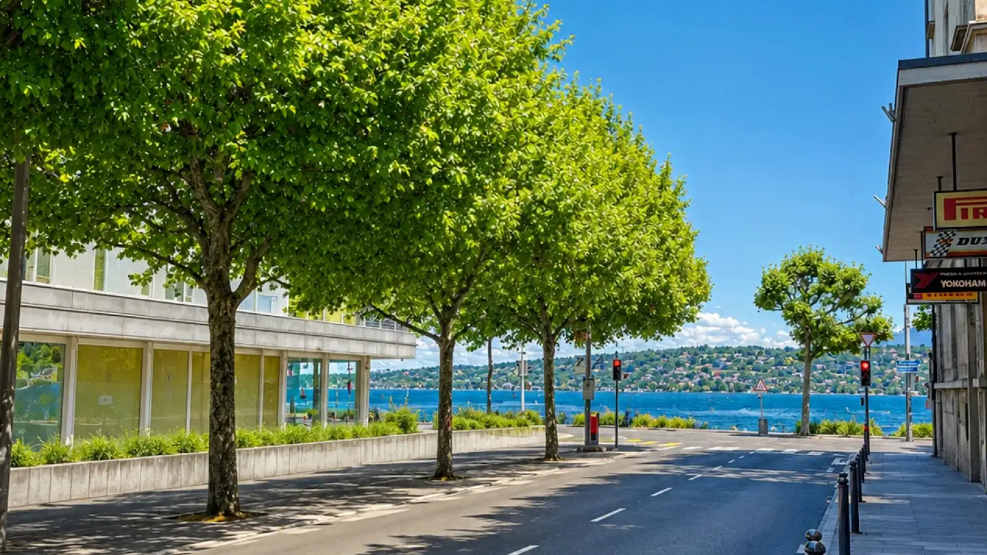 Wohnung mieten - Rue Jean-Antoine-Gautier 3, 1201 Genève