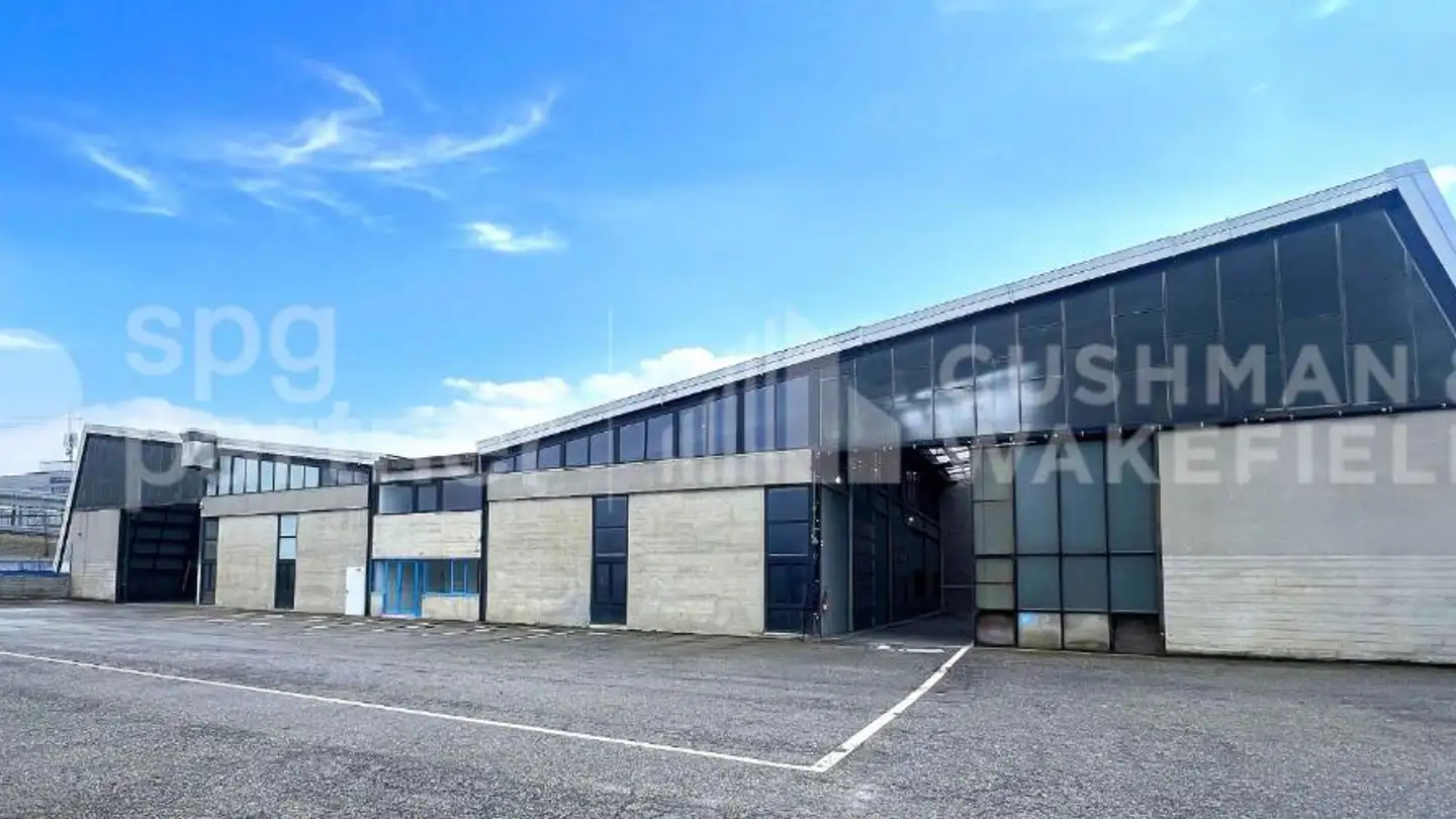 Gewerbe mieten - Avenue Des Grandes-Communes 6, 1213 Petit-Lancy