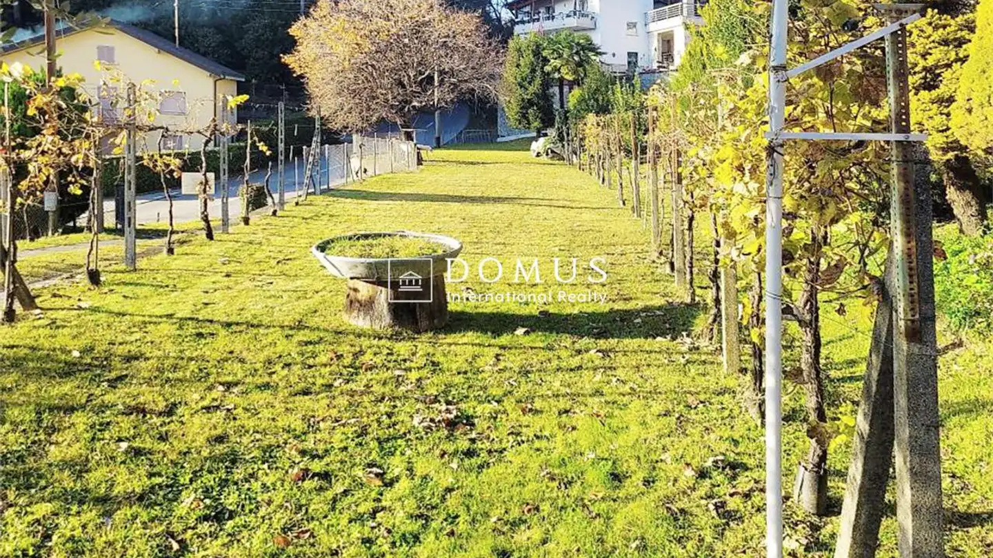 Constructible plot for sale - Strada Della Castellanza, 6968 Sonvico - Photo 4