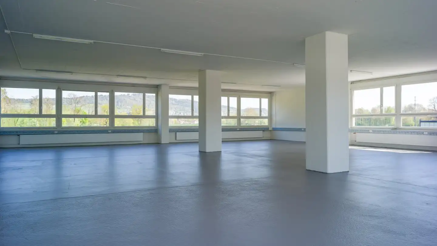 Commercial à louer - Seebergstrasse 1, 8103 Unterengstringen - Photo 2