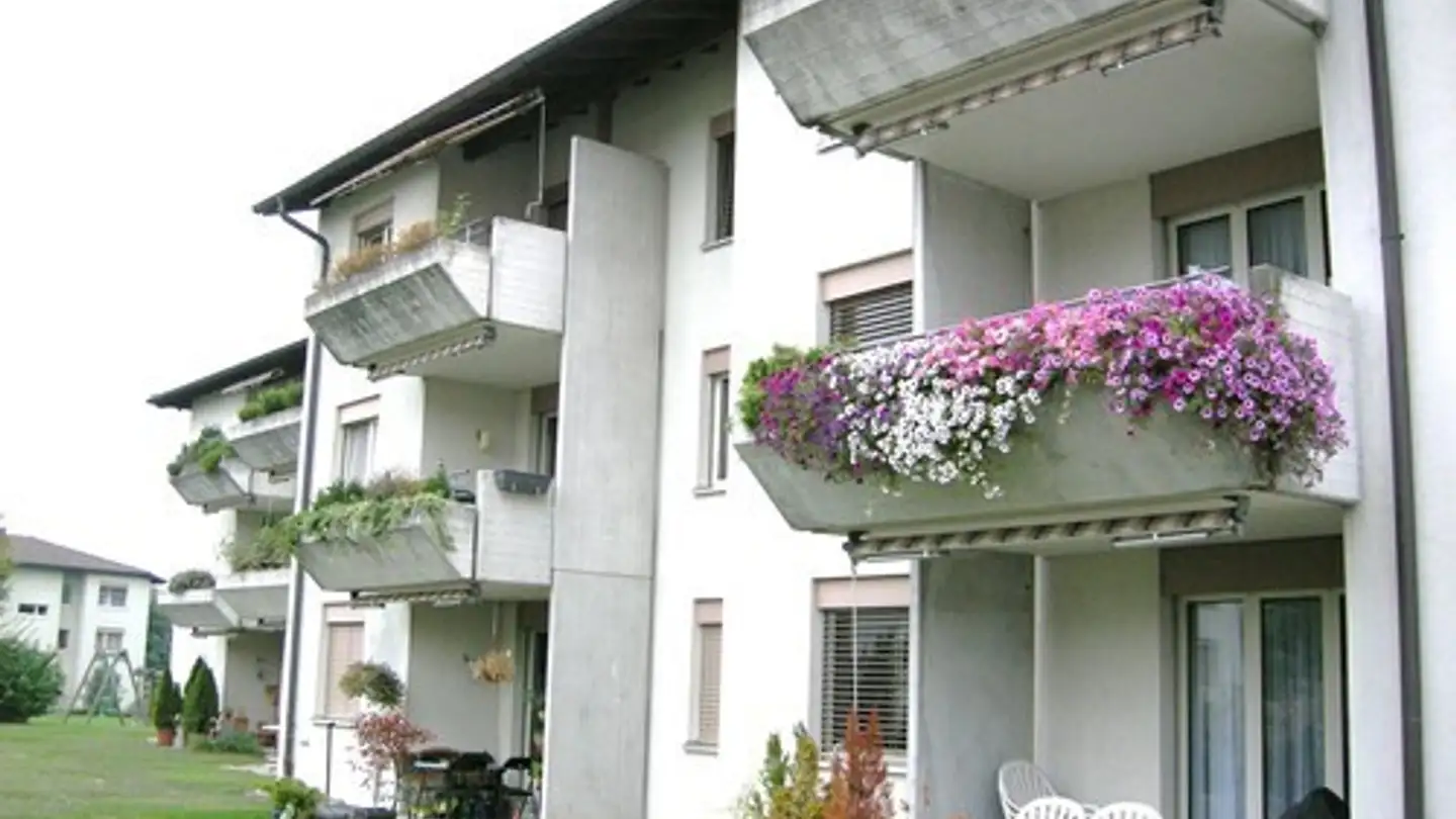 Appartement à louer - Ringstrasse 56, 8107 Buchs ZH