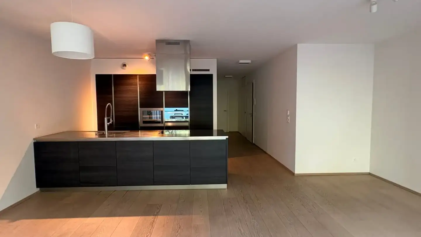 Appartement à vendre - Chemin De Pinchat 3b, 1227 Carouge GE - Photo 3
