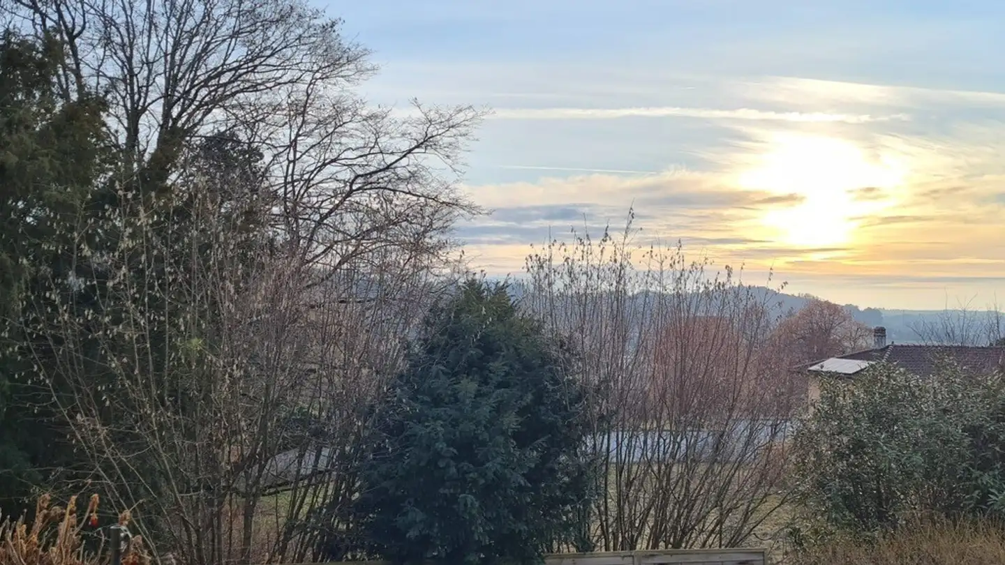 Maison jumelle à vendre - Chemin de la Combetta 44, 1723 Marly