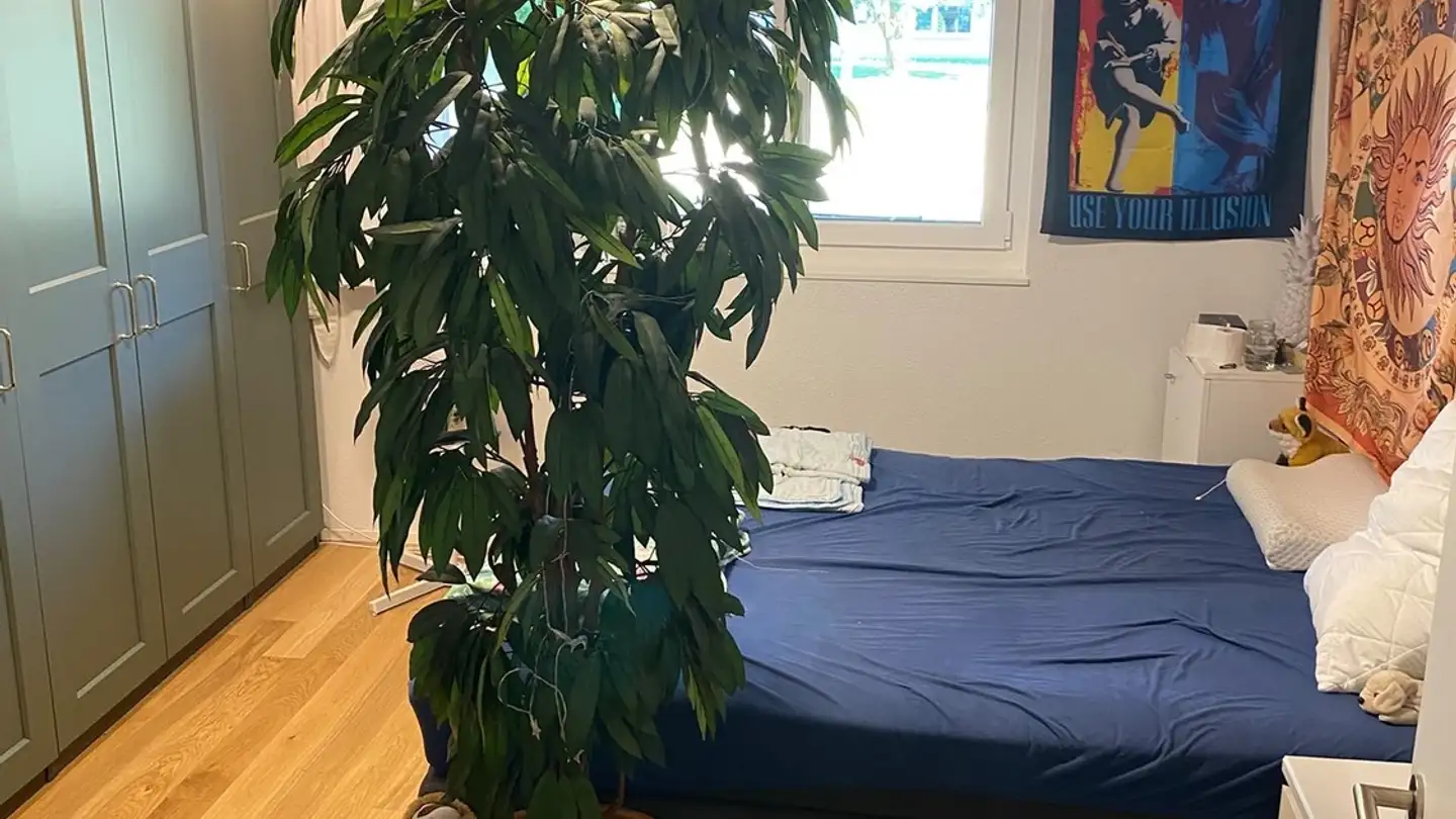 Appartamento in affitto - Klosterfeldstrasse 36, 5630 Muri AG - Foto 3