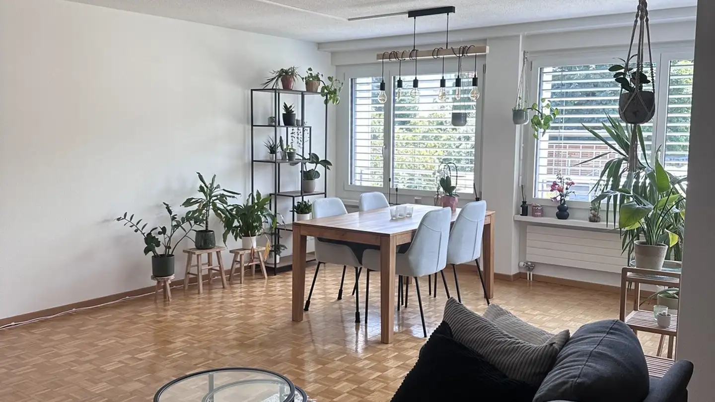 Wohnung mieten - 6343 Rotkreuz