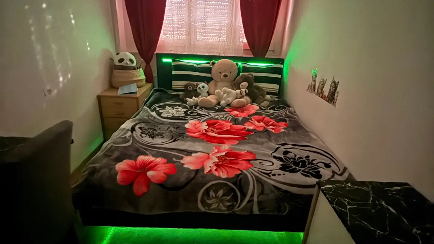 Zimmer mieten - Route De Meyrin, 1217 Meyrin - Foto 3