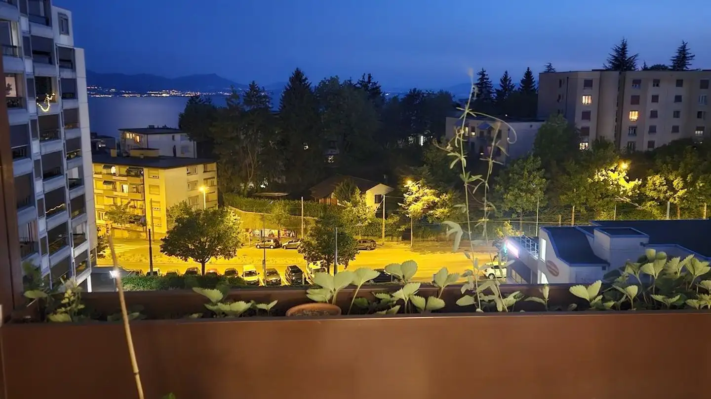 Appartement à louer - Chemin Des Bossons 7, 1018 Lausanne - Photo 2