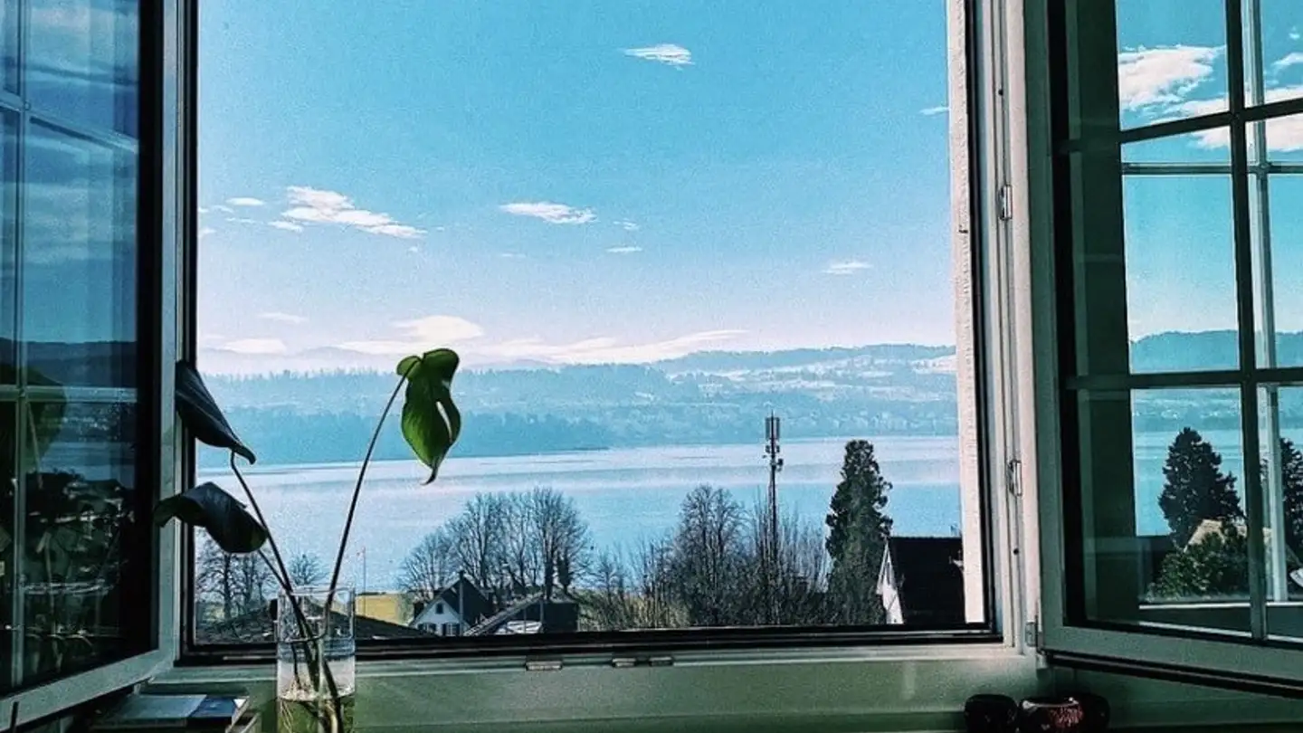 Appartement à louer - 8706 Meilen - Photo 2