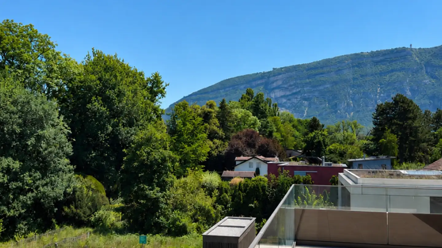 Attique à vendre - Chemin Jean-Jacques-Asper 53, 1201 Genève - Photo 2