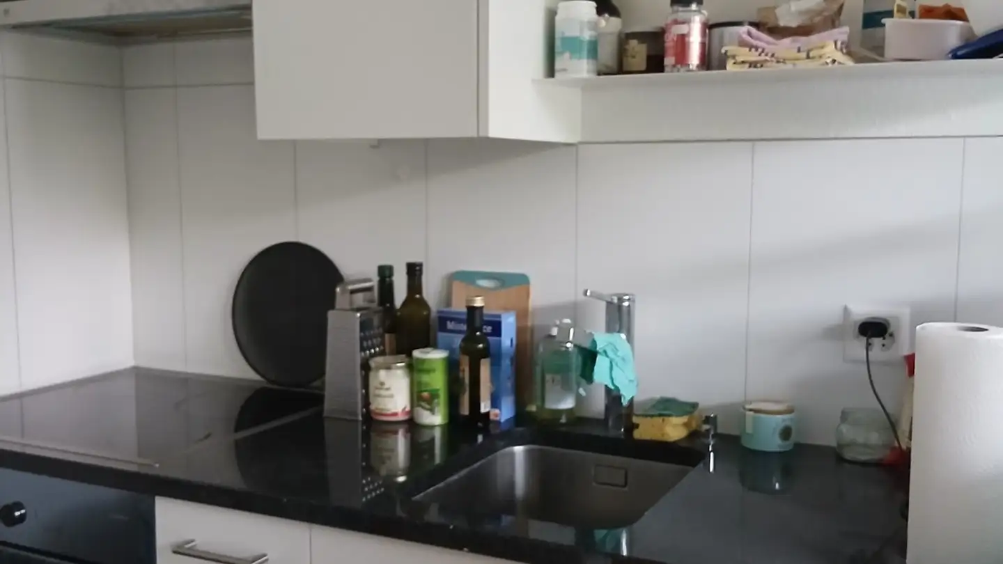 Appartamento in affitto - 8157 Dielsdorf - Photo 4