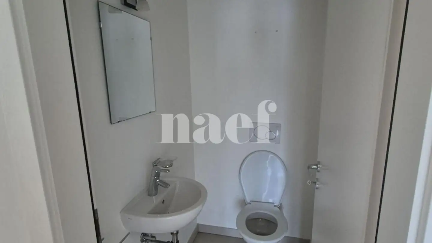 Appartement à louer - Avenue Adrien- Lachenal 25, 1290 Versoix - Photo 4