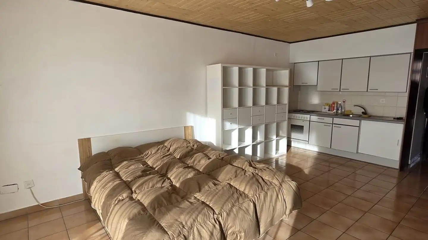 Wohnung mieten - 6500 Bellinzona