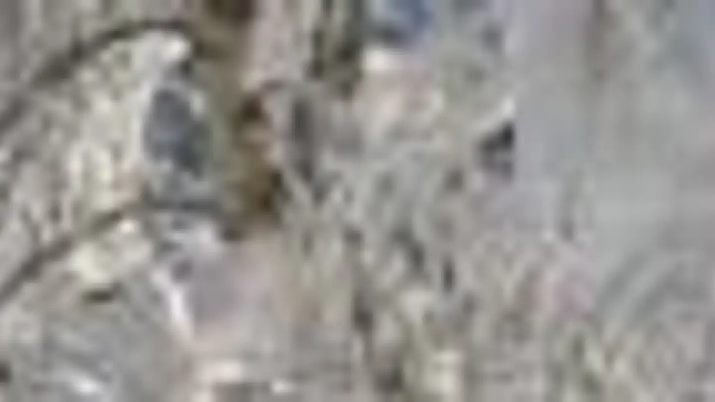 Edificio residenziale in vendita - Via Mutschnengia 106, 7184 Curaglia - Foto 3