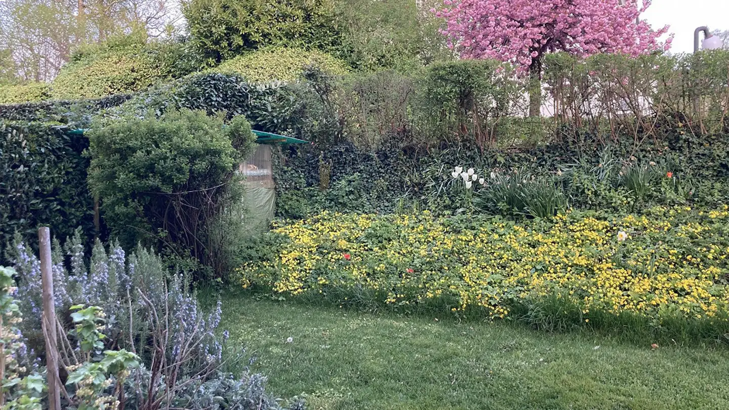 Wohnung mieten - 6004 Luzern