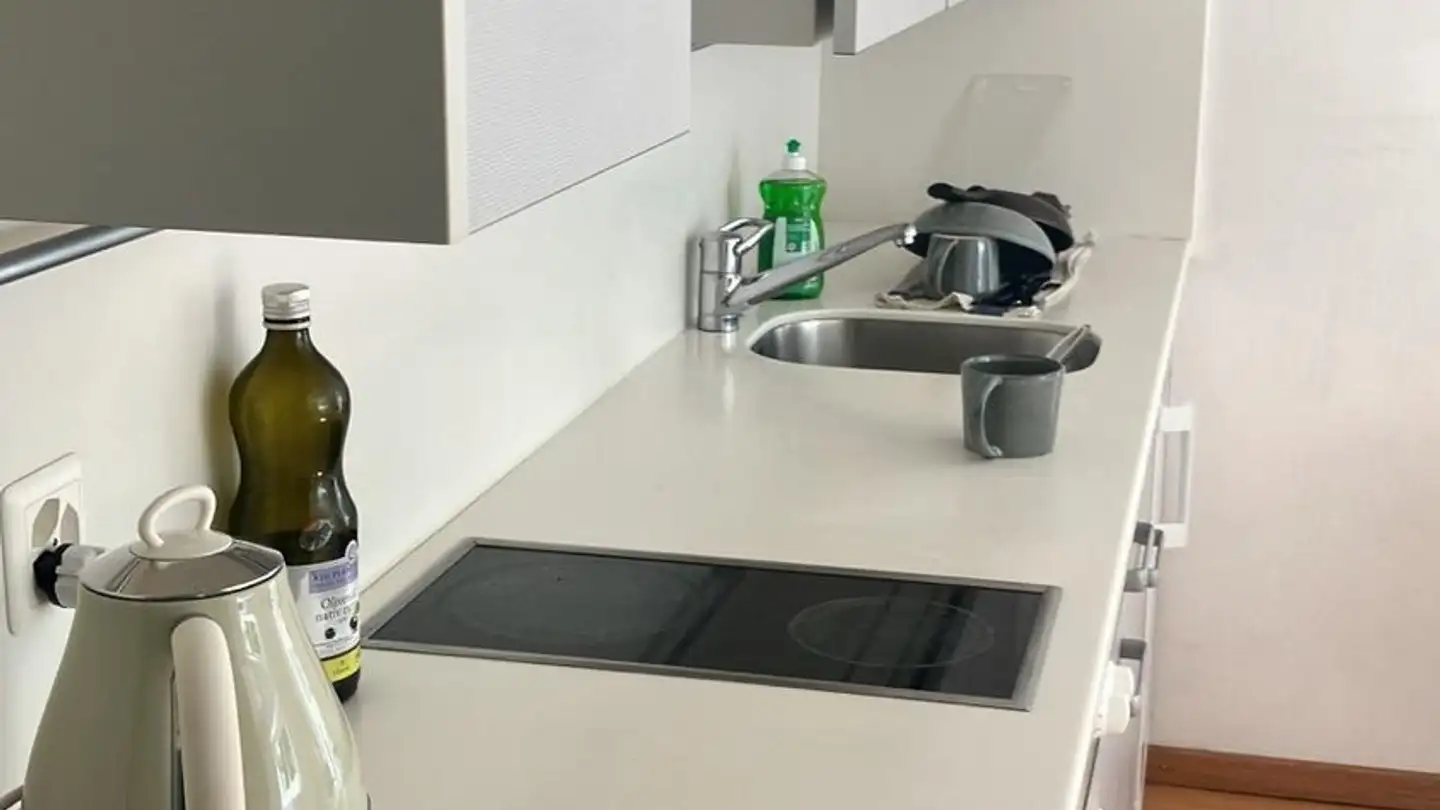 Appartamento in affitto - Friedrichstrasse 12, 8051 Zürich - Foto 2