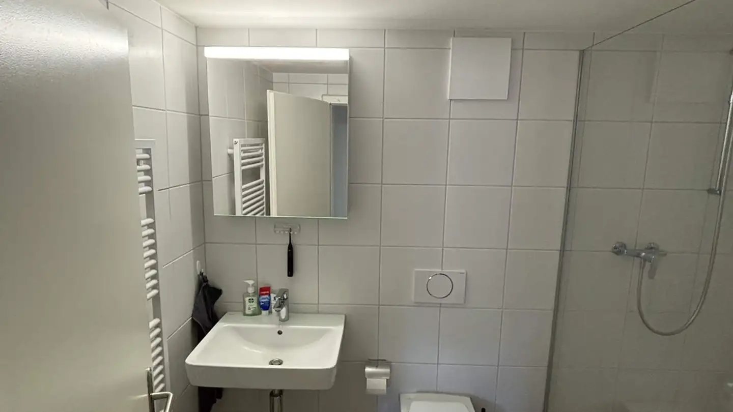Appartamento in affitto - Zugerstrasse 75, 8810 Horgen - Foto 4