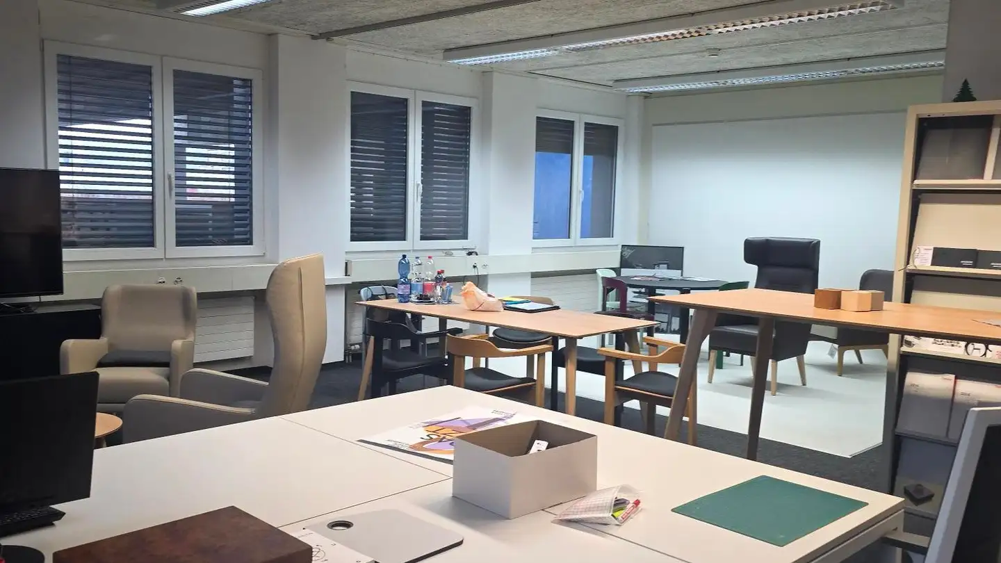 Commerciale in affitto - Hofwisenstrasse 2, 8260 Stein am Rhein - Photo 4